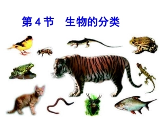 第4节生物的分类