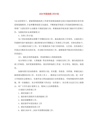 2020年团县委工作计划 