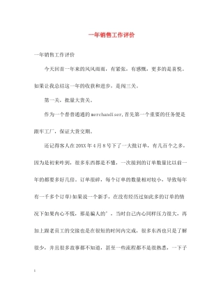 一年销售工作评价