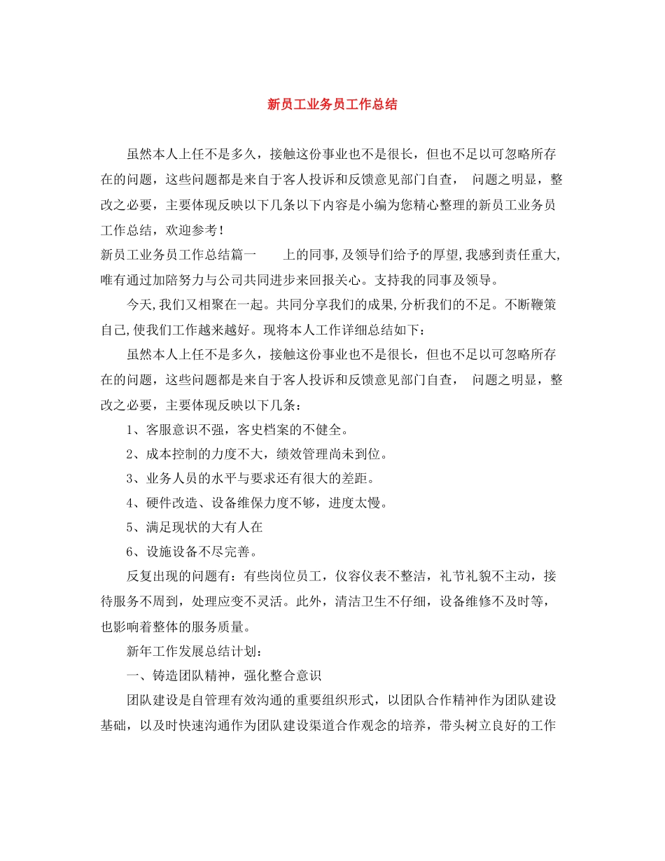 新员工业务员工作总结_第1页