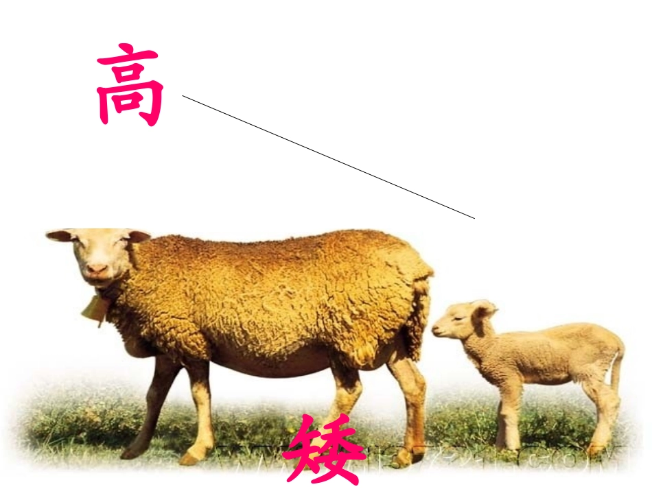 语文园地五课件_第2页