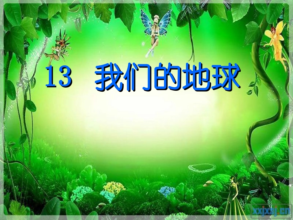 小学四年级科学我们的地球_第2页