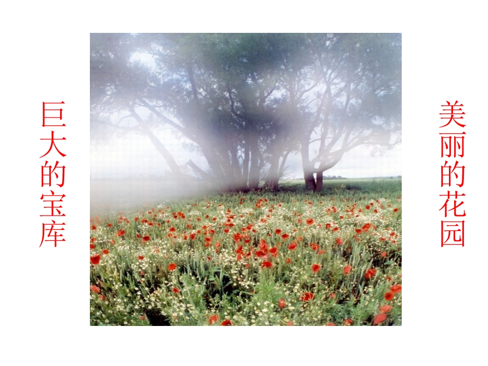 小兴安岭1234_第1页