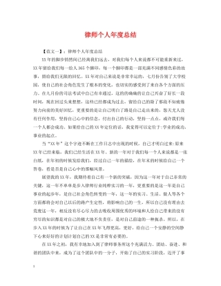 律师个人年度总结