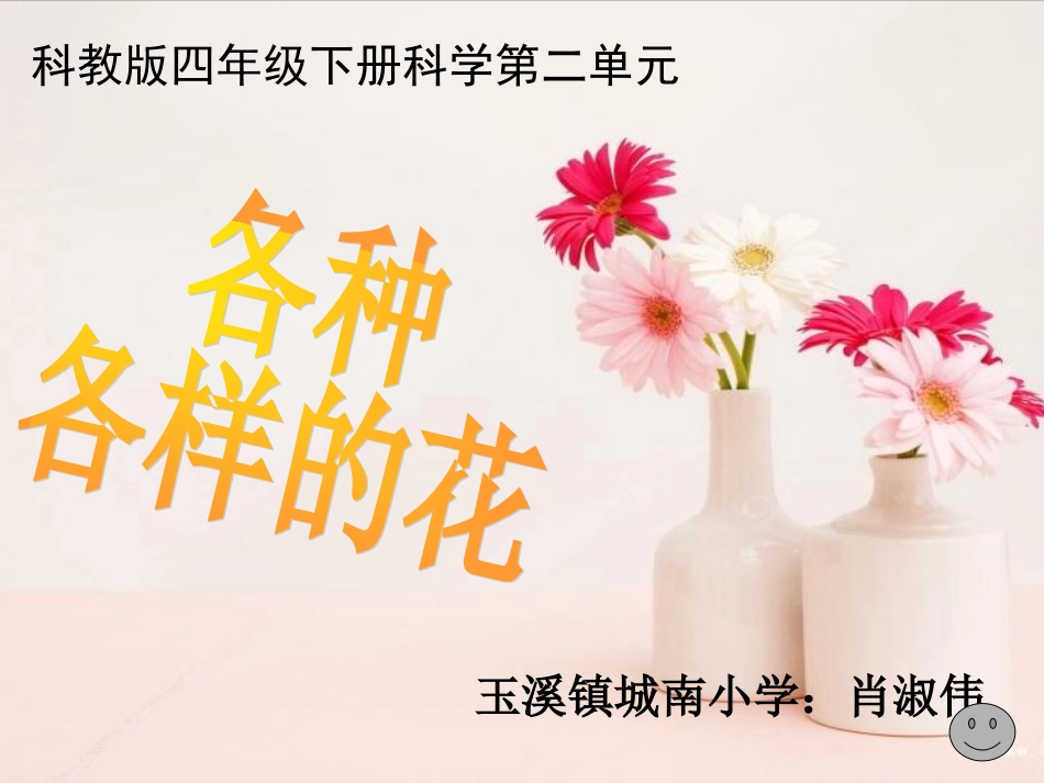 各种各样的花_课件_第1页