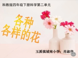 各种各样的花_课件