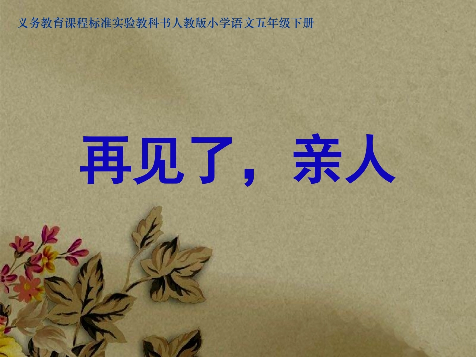 《再见了，亲人》课件_第1页