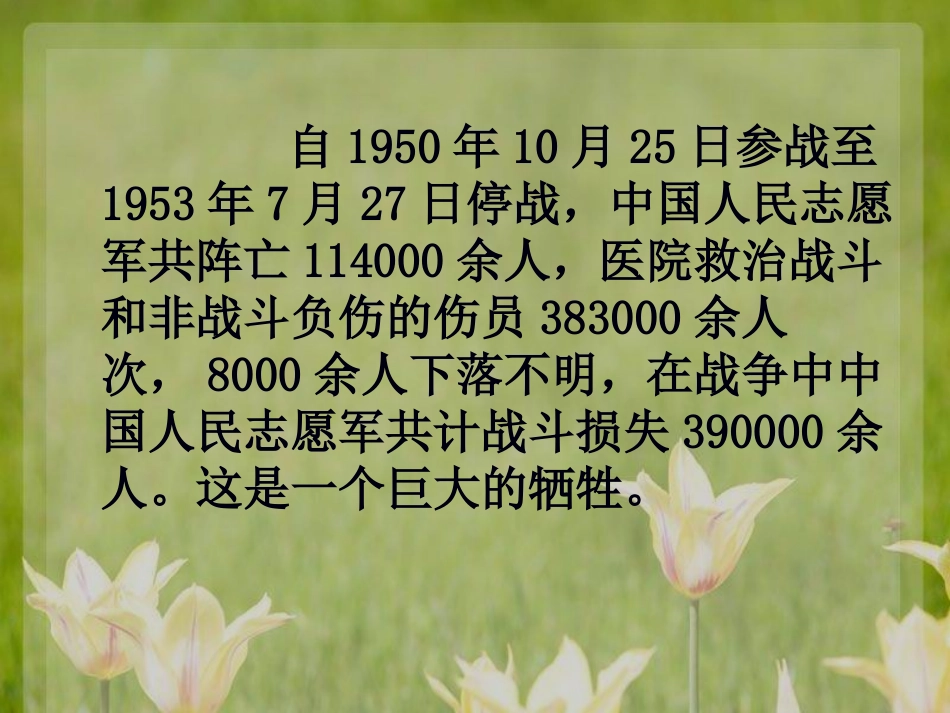 《再见了，亲人》课件_第2页