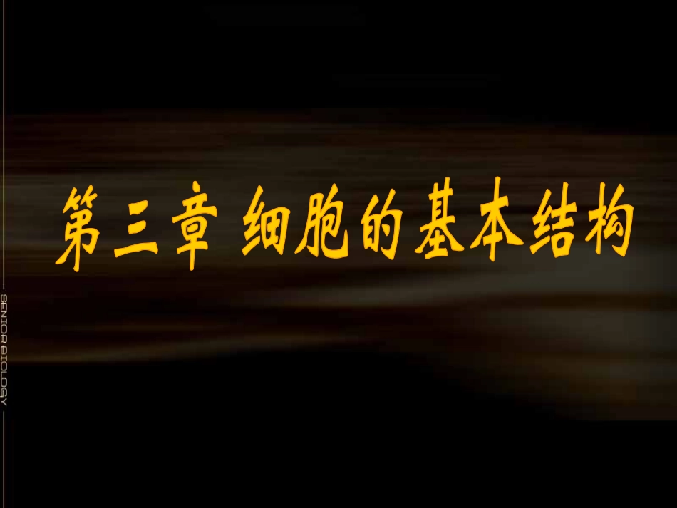 高一生物《细胞膜－系统的边界公开课_第3页