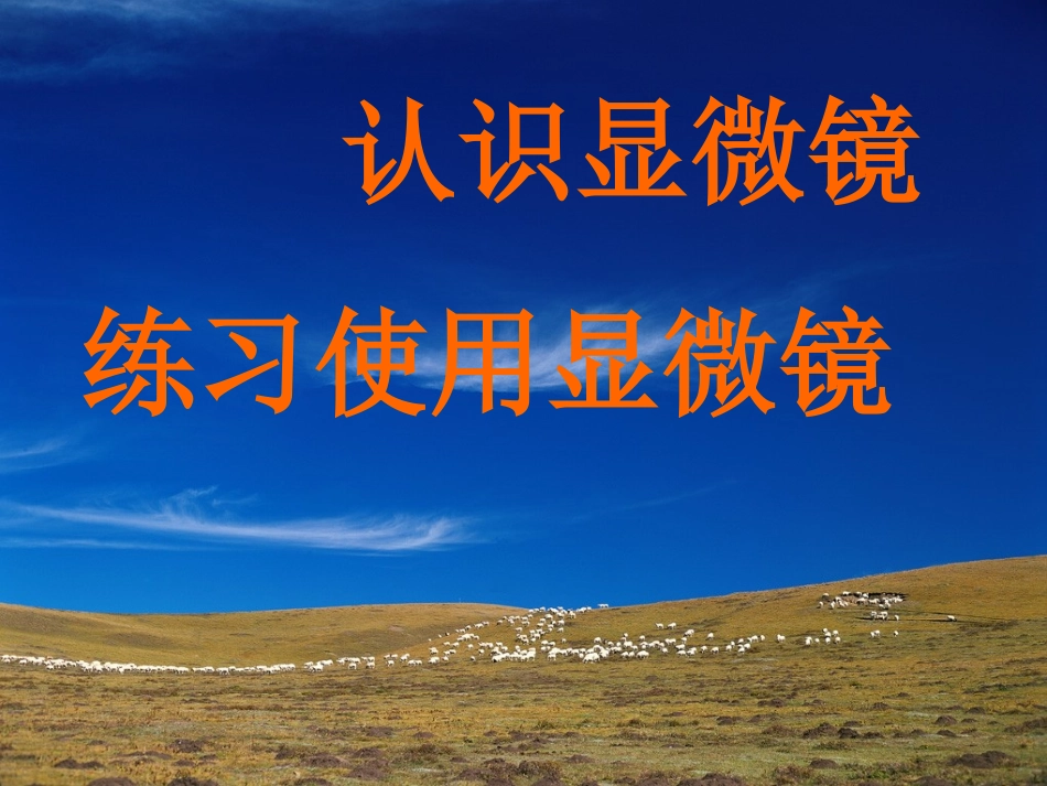 浙教版七年级（上）显微镜使用_第1页