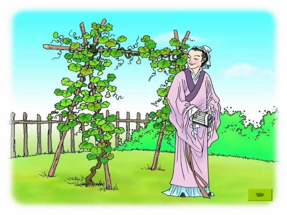 《植物的叶》_第2页