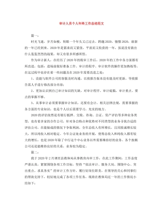审计人员个人年终工作总结范文