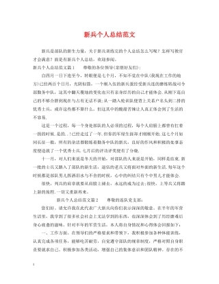 新兵个人总结范文