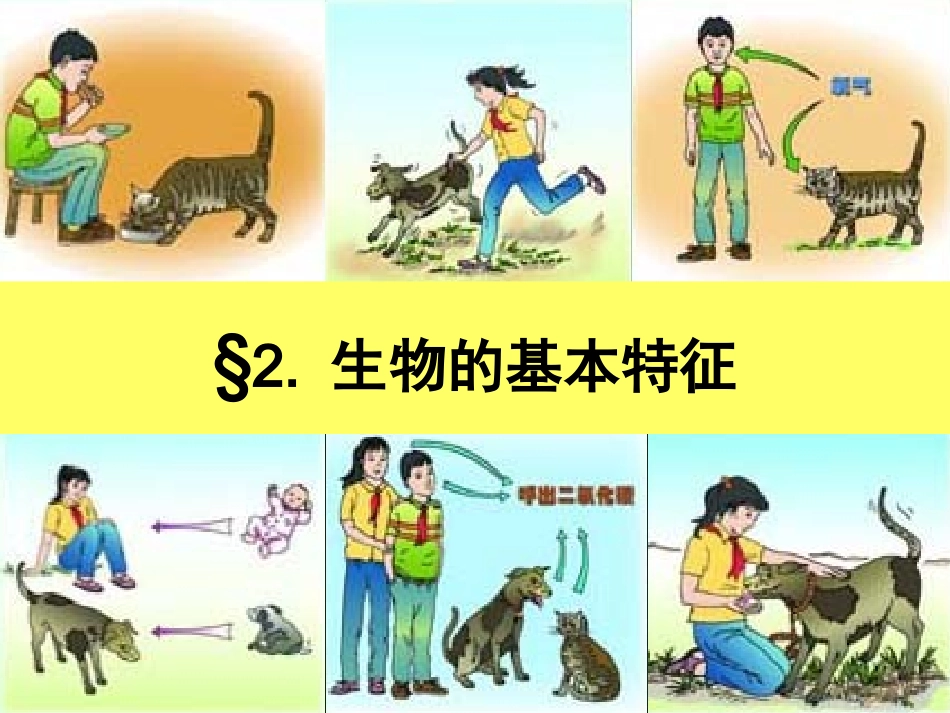 《生物的基本特征》_第1页