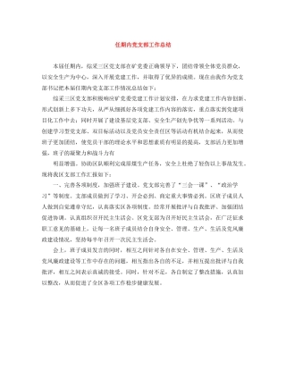 任期内党支部工作总结