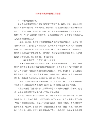 2020年司法局长任期工作总结 