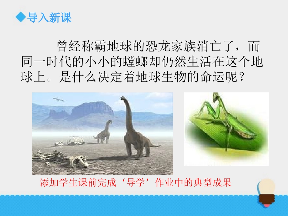 《谁选择了它们》课件1_第2页