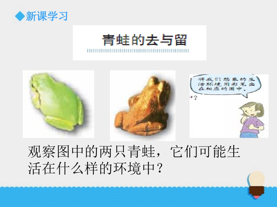 《谁选择了它们》课件1_第3页