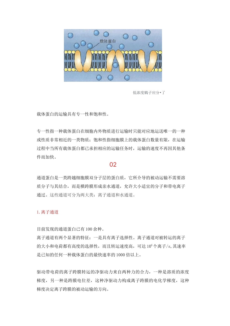 载体蛋白和通道蛋白的区别,生理功能和特性_第2页