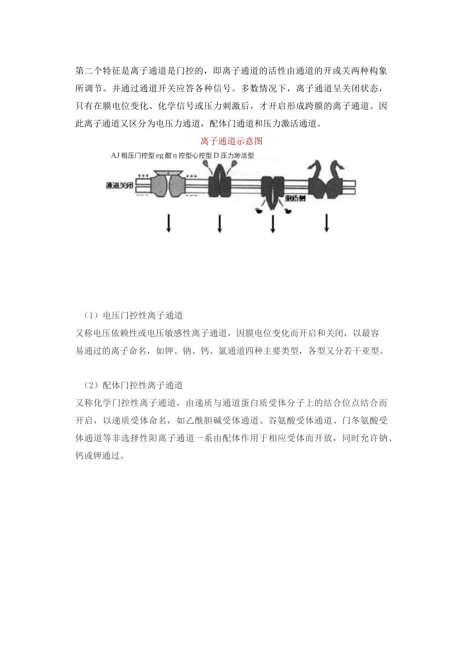 载体蛋白和通道蛋白的区别,生理功能和特性_第3页