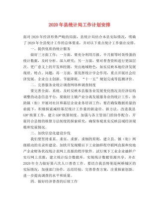 2020年县统计局工作计划安排 