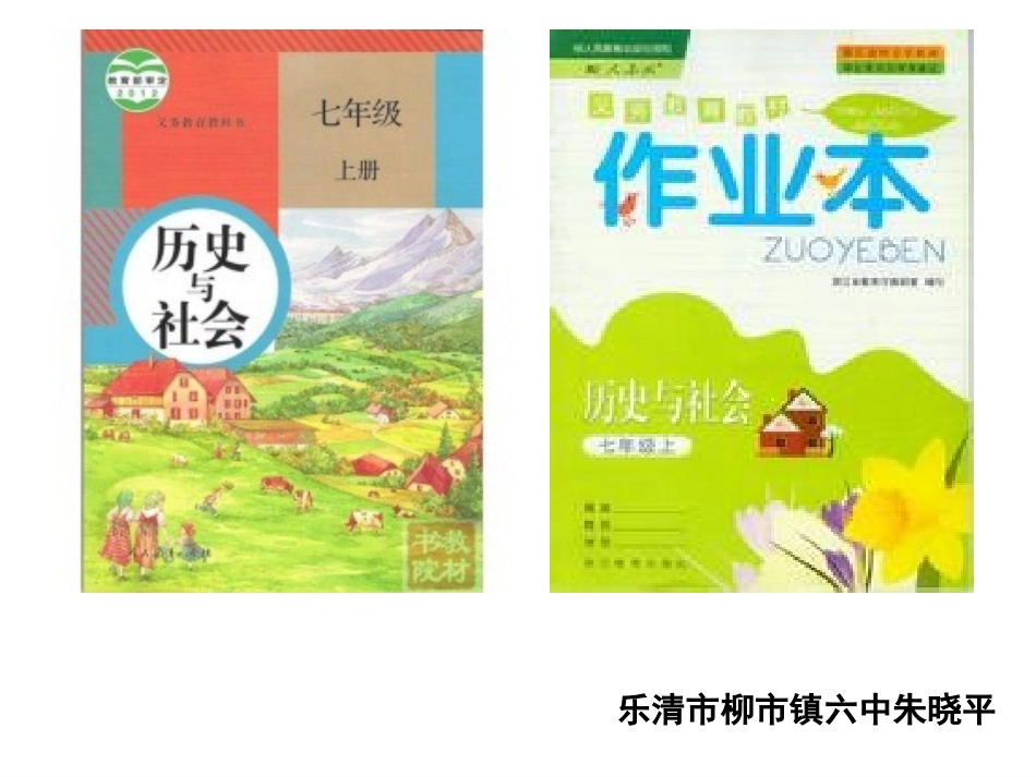 巴西利亚规划_第1页