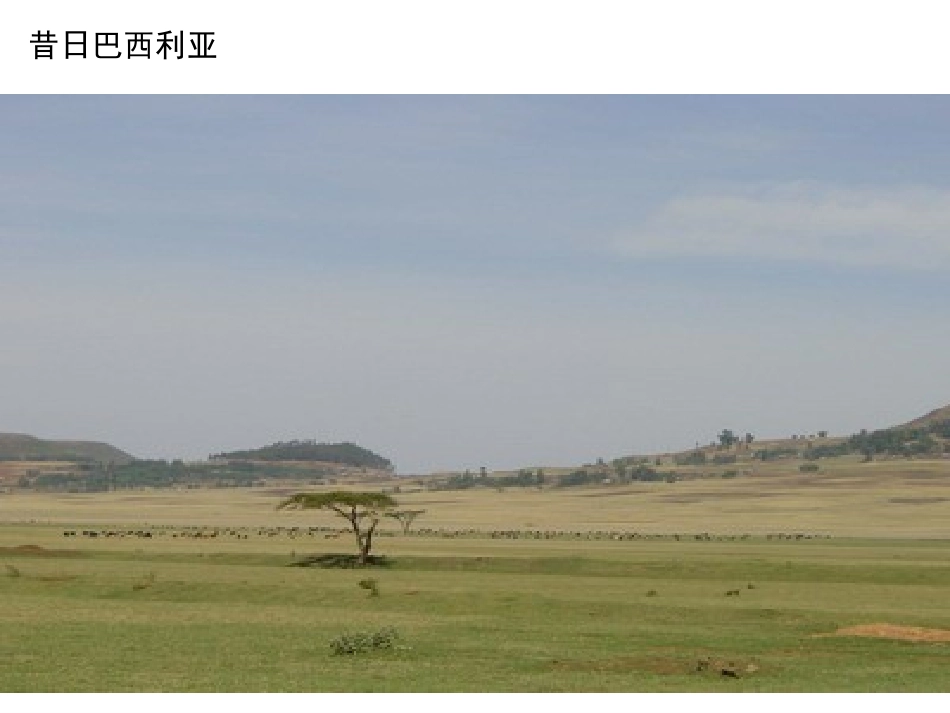 巴西利亚规划_第3页