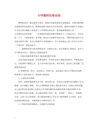 小学教师自培总结