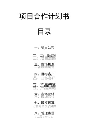 项目合作计划书