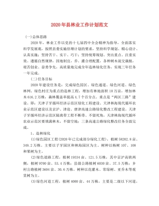 2020年县林业工作计划范文 
