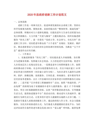 2020年县政府老龄工作计划范文 