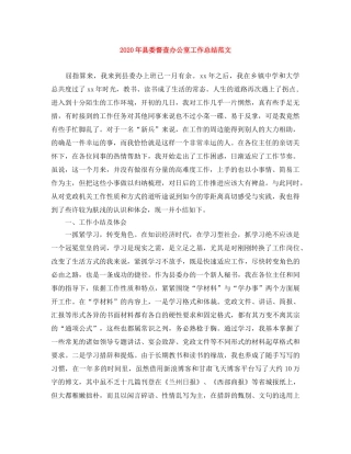 2020年县委督查办公室工作总结范文 