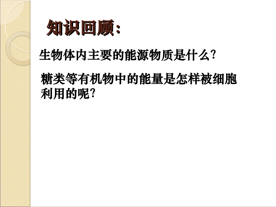 第三节ATP的主要来源——细胞呼吸_第2页