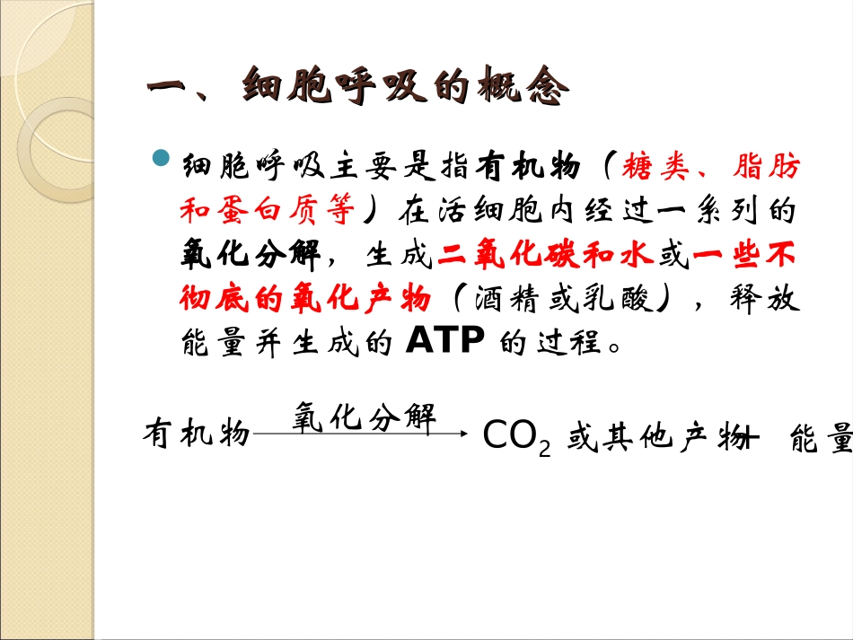 第三节ATP的主要来源——细胞呼吸_第3页