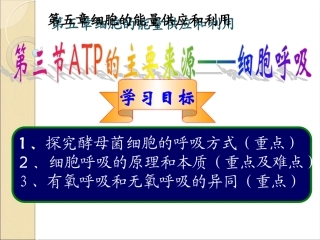 第三节ATP的主要来源——细胞呼吸
