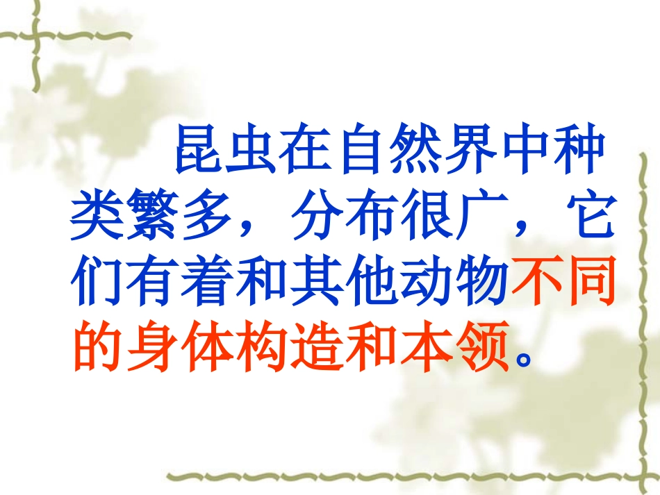 放大镜下的昆虫世界_第2页