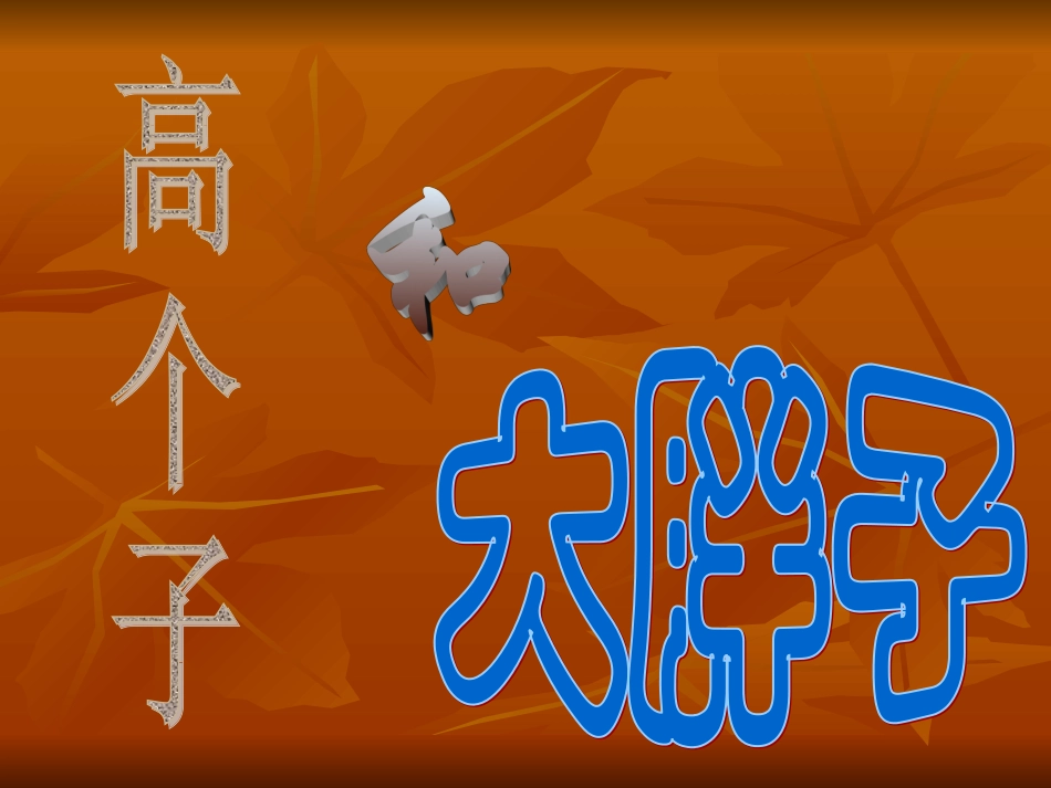 高个子和大胖子_第3页