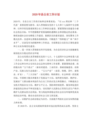 2020年县公安工作计划 