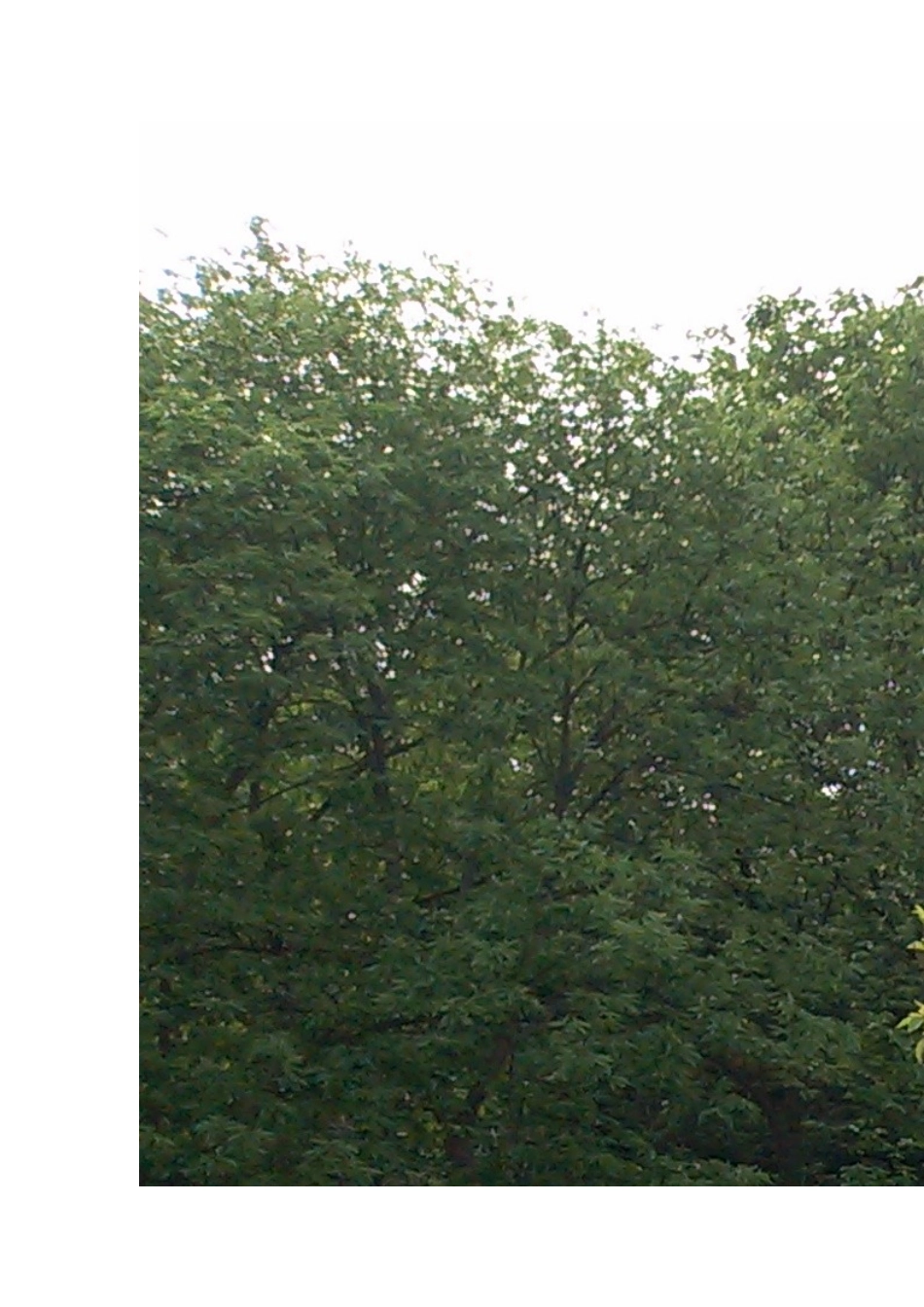 2014上国学（听写总结）_第2页