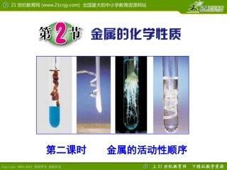 第2节金属的化学性质（第二课时） (2)