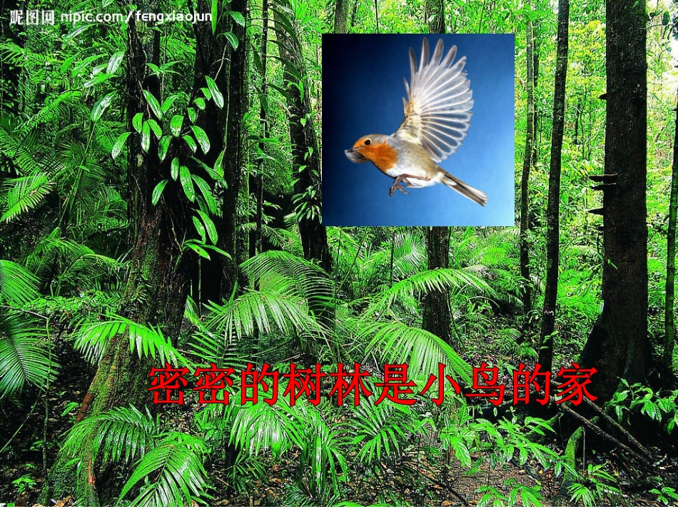小班-儿歌：家_第3页