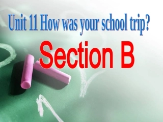 七年级下unit11sectionB