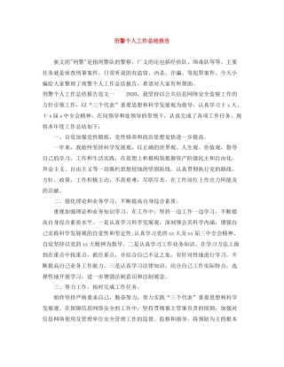 刑警个人工作总结报告