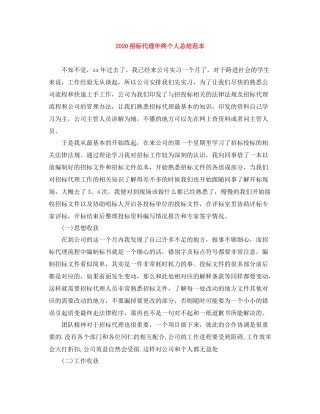 招标代理年终个人总结范本