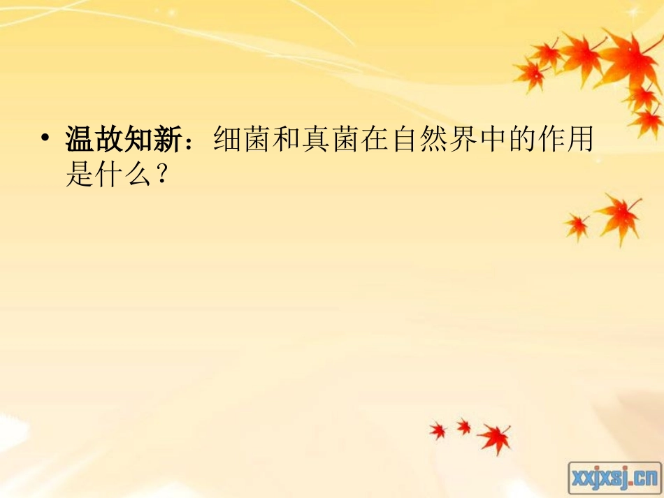 八年级生物人类对细菌和真菌的利用_第1页