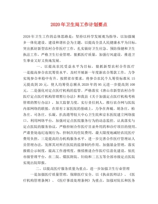 2020年卫生局工作计划要点 