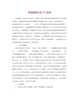 劳动监察大队个人总结