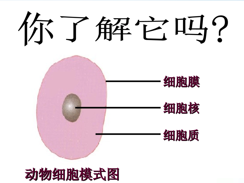 第二单元第一章第四节细胞的生活_第3页