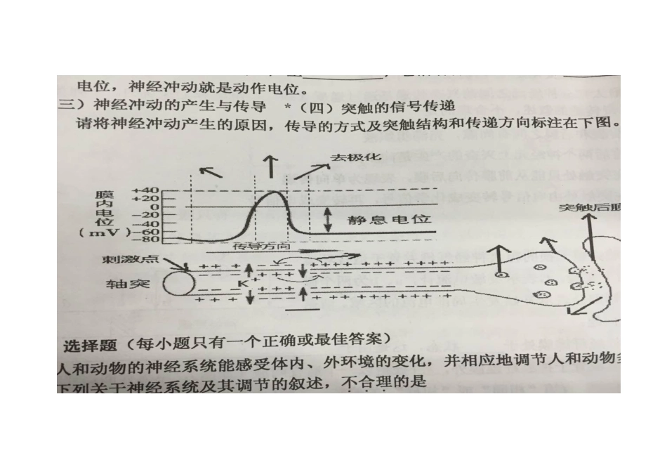 动作电位传导_第1页