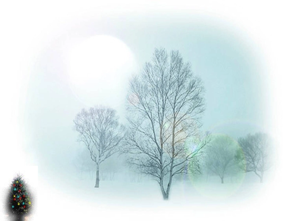 非谓语动词复习课_第2页